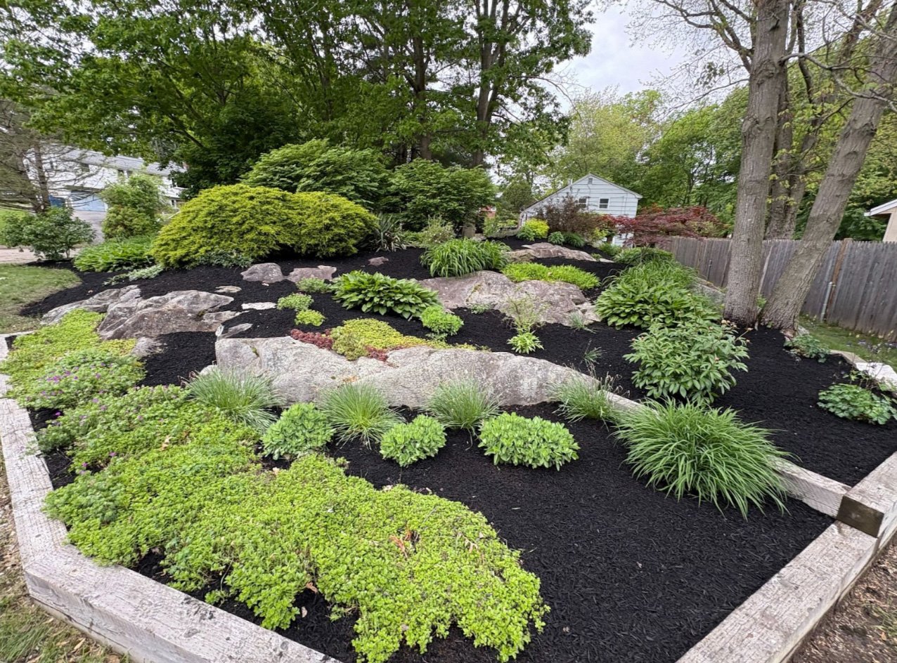 Turf Envy project on the South Shore