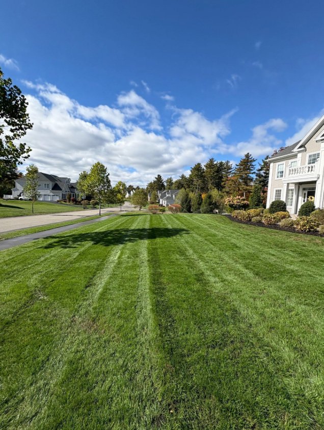 Fall Application application