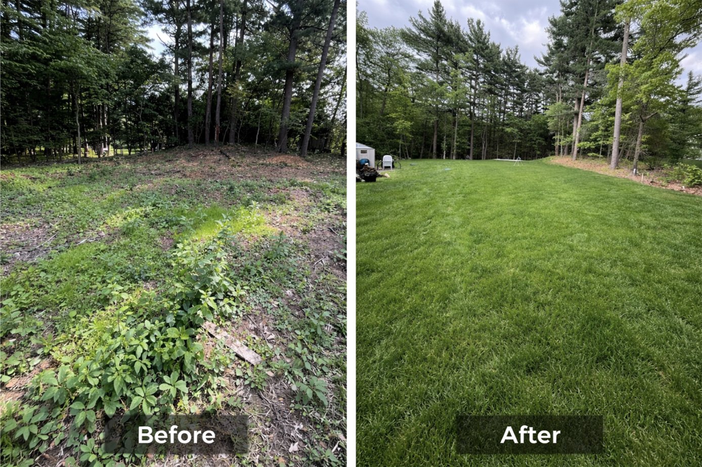 Plant Selection application