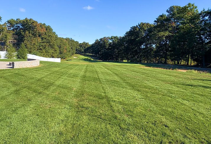 Lawn Maintenance