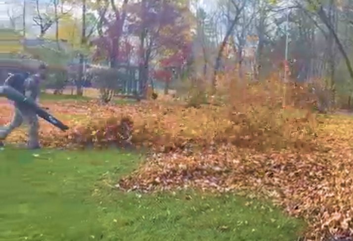 Spring & Fall Cleanups